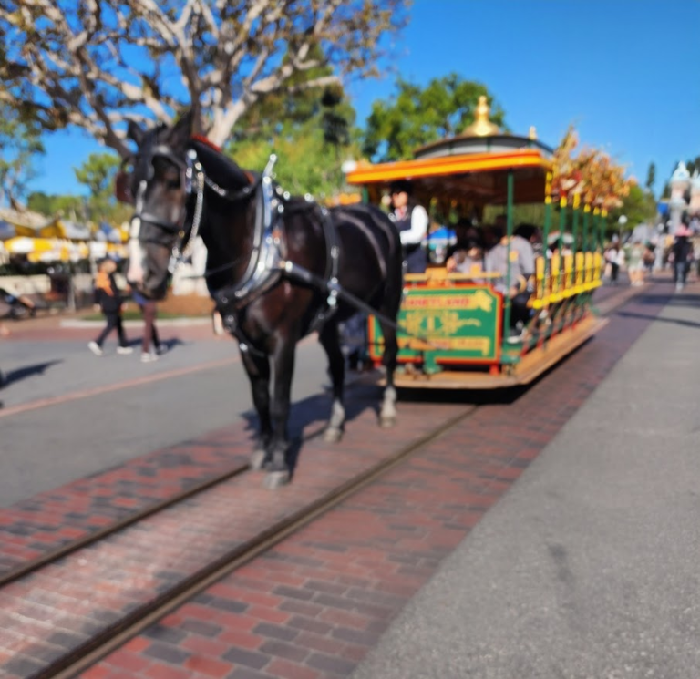 Main Street, U.S.A.: