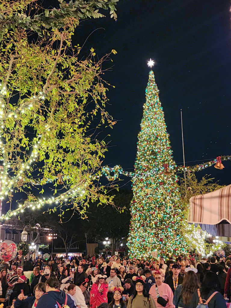 Surviving Peak Holidays