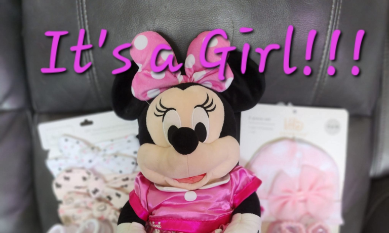 🤰✨ Going to Disneyland Pregnant: